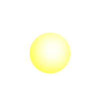 sole sole