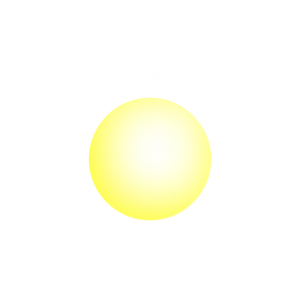 sole sole